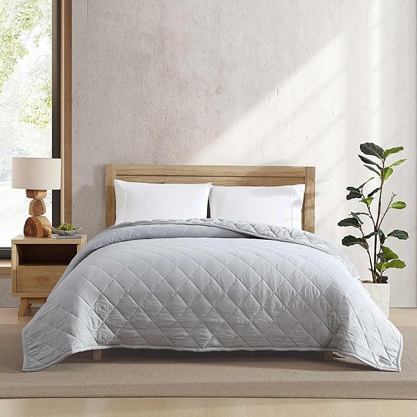 EDDIE BAUER – QUEEN SIZE BLANKET, SOFT & REVERSIBLE PLUSH BED BLANKET, BRUSHED FOR EXTRA SOFTNESS WITH A PLUSH SMOOTH TEXTURE, THROW BLANKET FOR COUCH OR BED (CLASSIC SOLID GREY)
