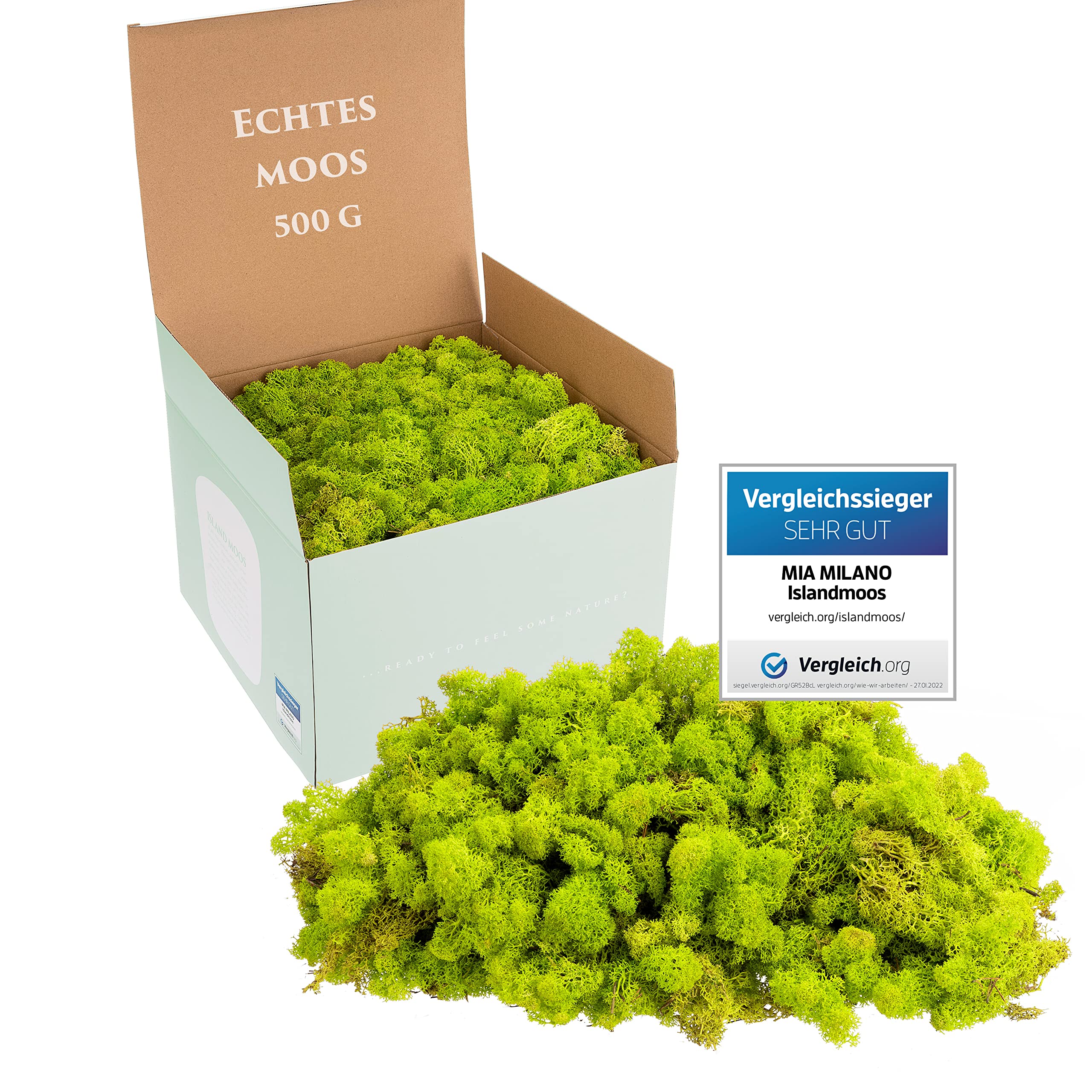 GD GOOD.designs EST. 2015 Icelandic moss preserved I Moss decoration for handicrafts I Real decorative Icelandic moss for moss picture and moss wall living (500g, Light green)