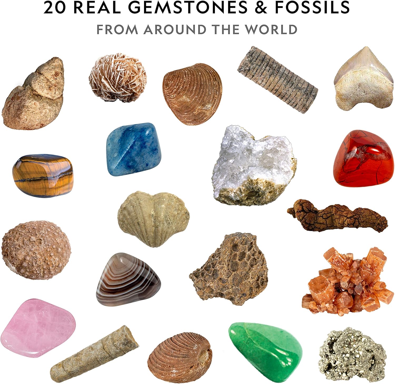 NATIONAL GEOGRAPHIC Mega Fossil and Gemstone Dig Kits - Excavate 20 Real Fossils and Gems, Great STEM Science Gift for Mineralogy and Geology Enthusiasts of Any Age: Toys & Games