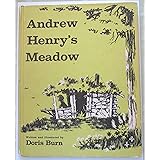 Andrew Henry's Meadow