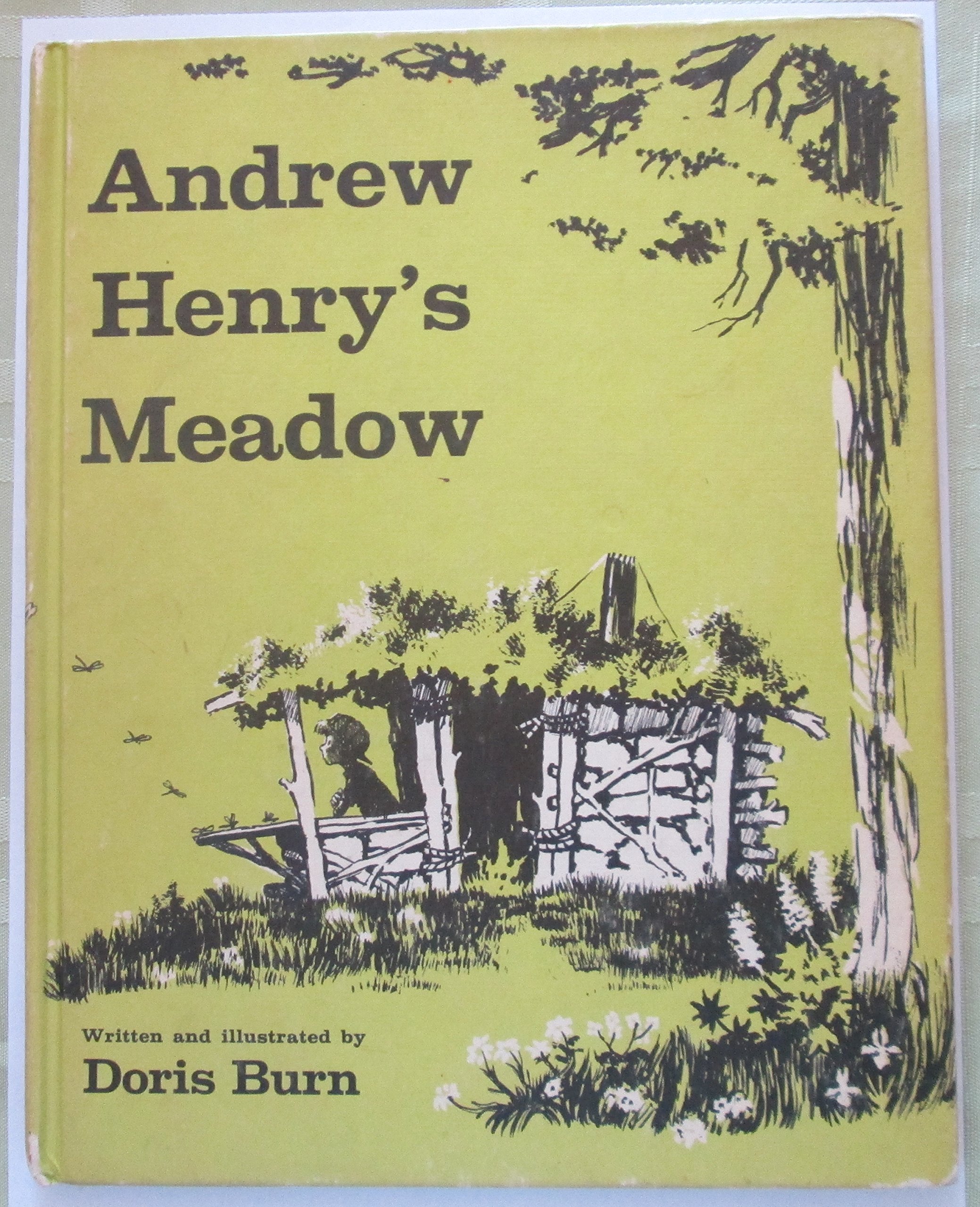Andrew Henry S Meadow Amazon Com Books