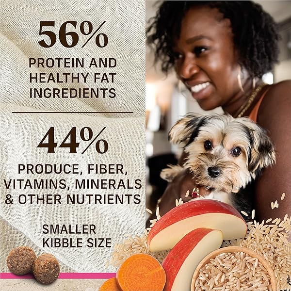 MERRICK HEALTHY GRAINS PREMIUM DRY DOG FOOD FOR SMALL DOGS, WHOLESOME AND NATURAL KIBBLE, SMALL BREED RECIPE – 4.0 LB. BAG