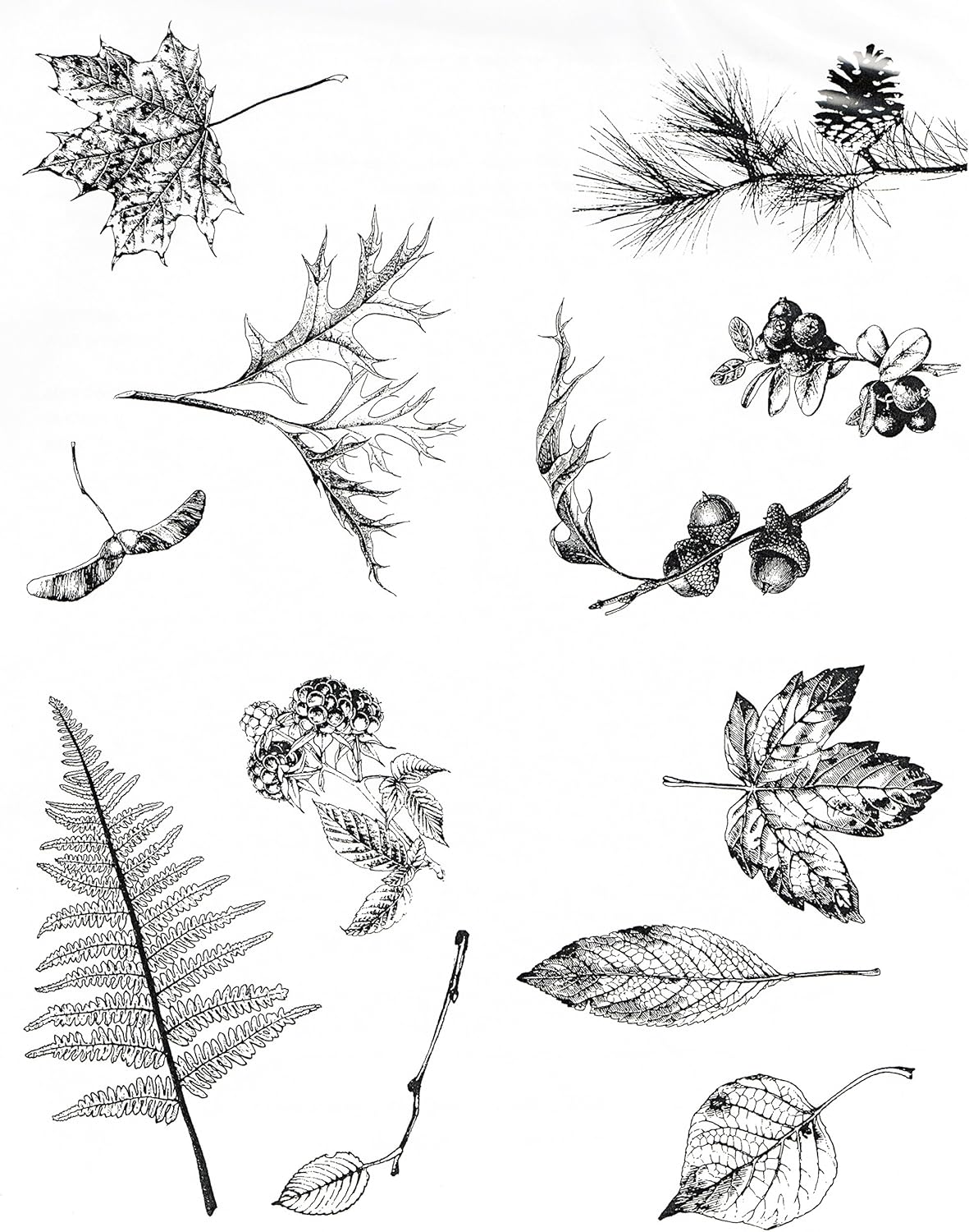 Paintings - Mayco Designer Silkscreens DSS-111 Leaves Designs, for Adding Intricate Drawings to Any Craft Surface