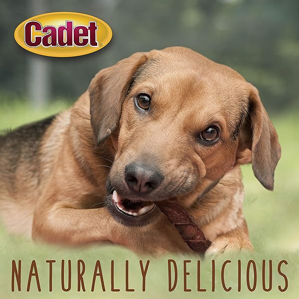 CADET GOURMET TRIPLE CHEWS LONG-LASTING PORK HIDE STICKS WITH APPLE AND DUCK, HEALTHY DOG TREATS FOR SMALL & LARGE DOGS, 6 COUNT
