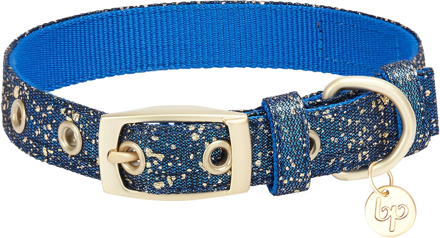 designer dog leashes and collars