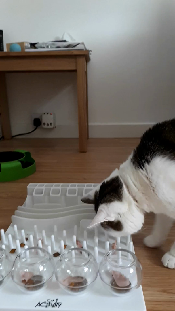 Trixie Cat Activity Fun Board, 30 × 40 cm Amazon.co.uk Pet Supplies