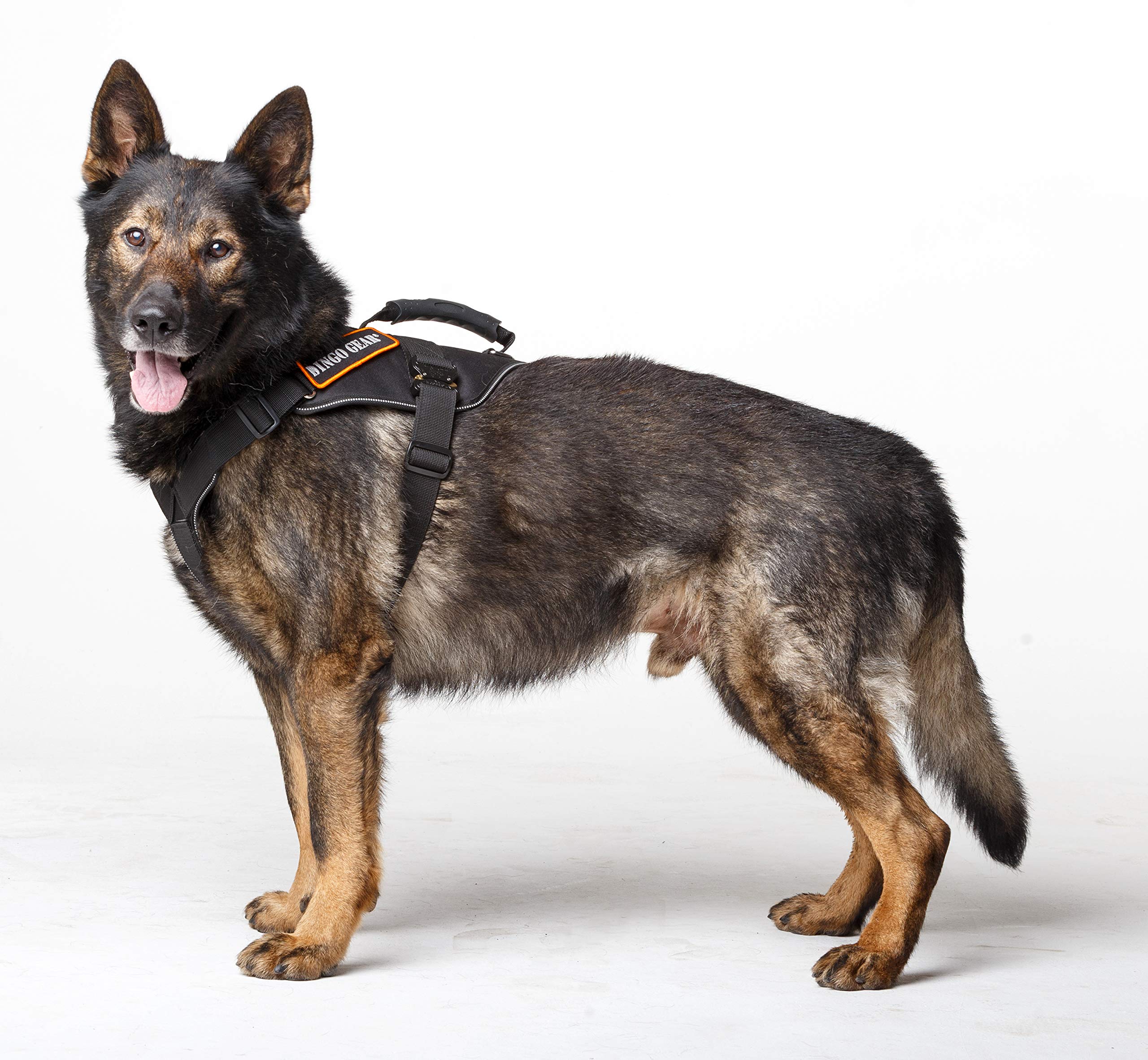 DINGO GEAR Cobra Extreme Dog Harness with a Strong Handle, Reliable Safety System Handmade Black Size XL S03204