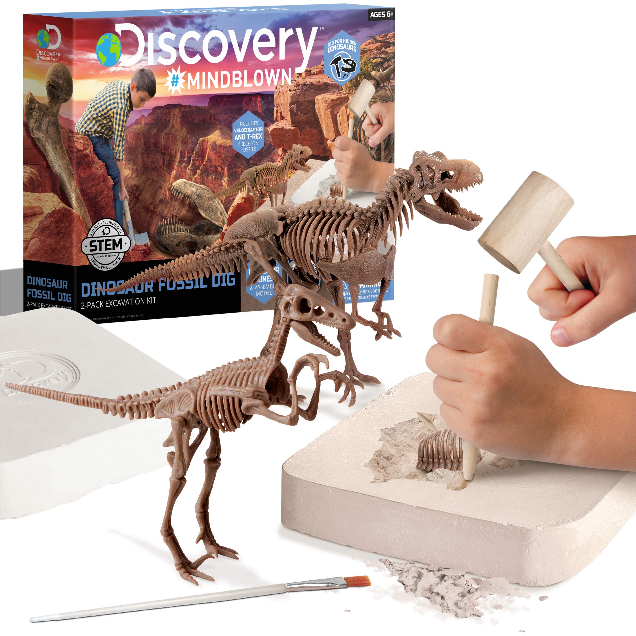 Discovery™ Dinosaur Fossil Dig Kit – Excavate & Assemble T-Rex & Velociraptor Skeletons| 3D Dino Bones Puzzles| Jurassic Paleontology Toy for Kids| STEM Science Activity Set| Girls & Boys Gift Ages 6+