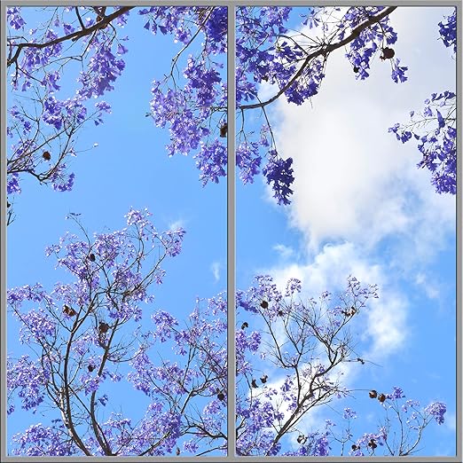 Sky Ceiling Fluorescent Led Light Covers A Splash Of Purple 2 Bay 47 3 4 X 23 3 4 Amazon Com