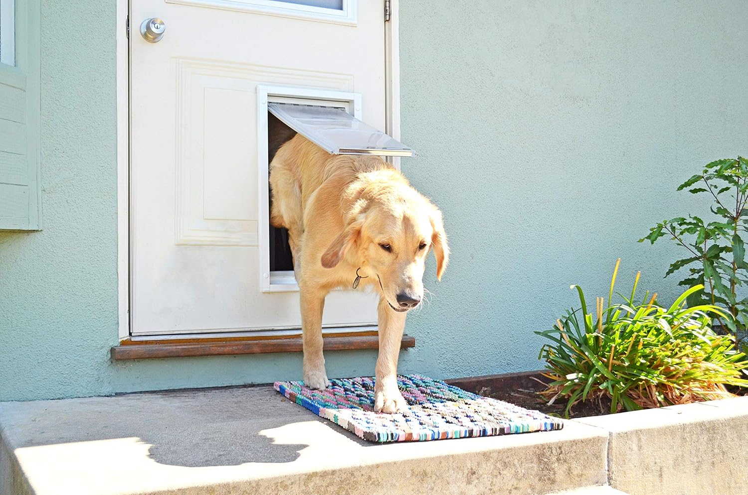 Endura Flap Pet Door Single Flap Wall Mount - Small Flap (6" x 11"), Sturdy Aluminum White Frame : Flap Pet Doors : Pet Supplies