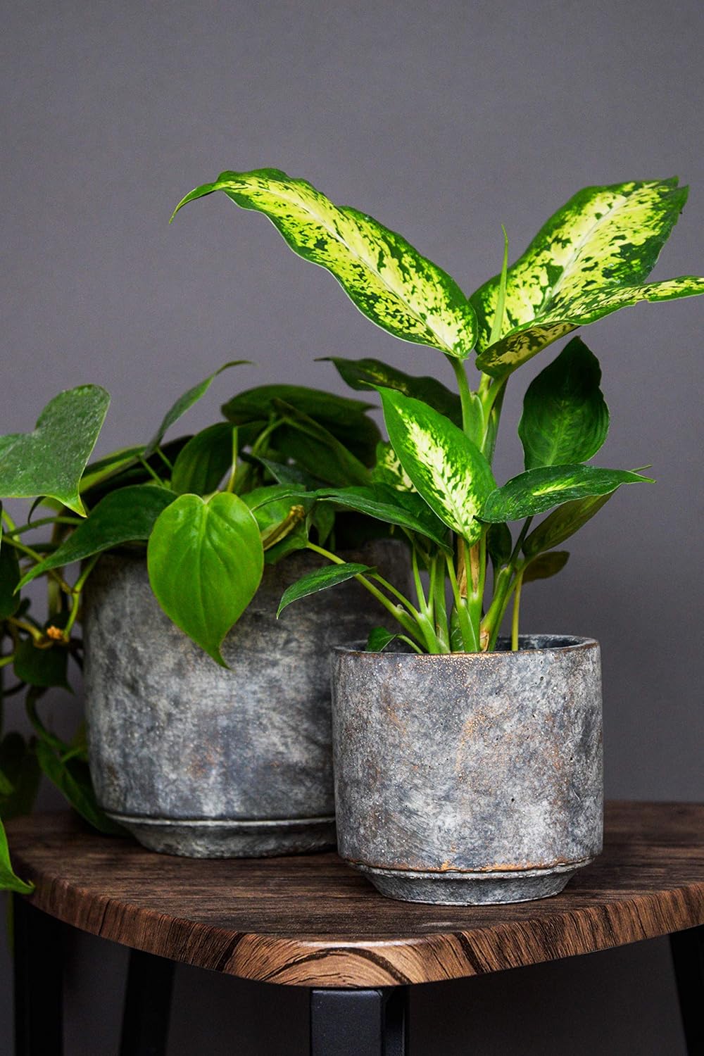 Tivoli planter earth D14 H13