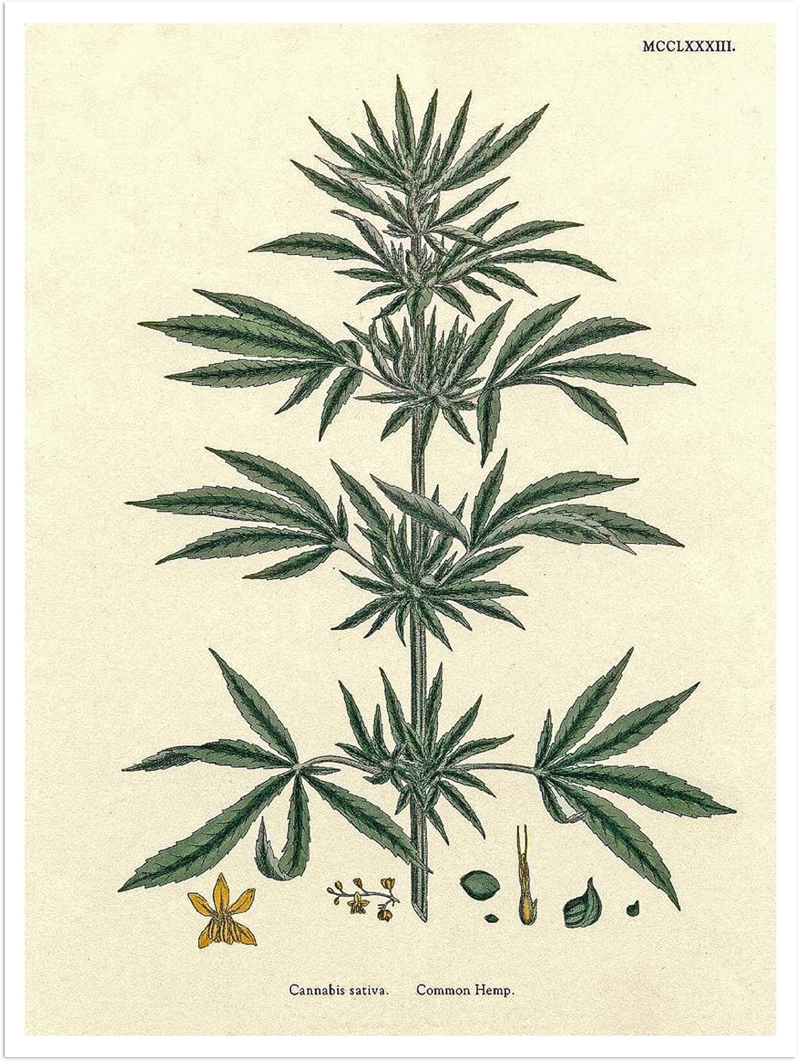 print 16x20 cardstock