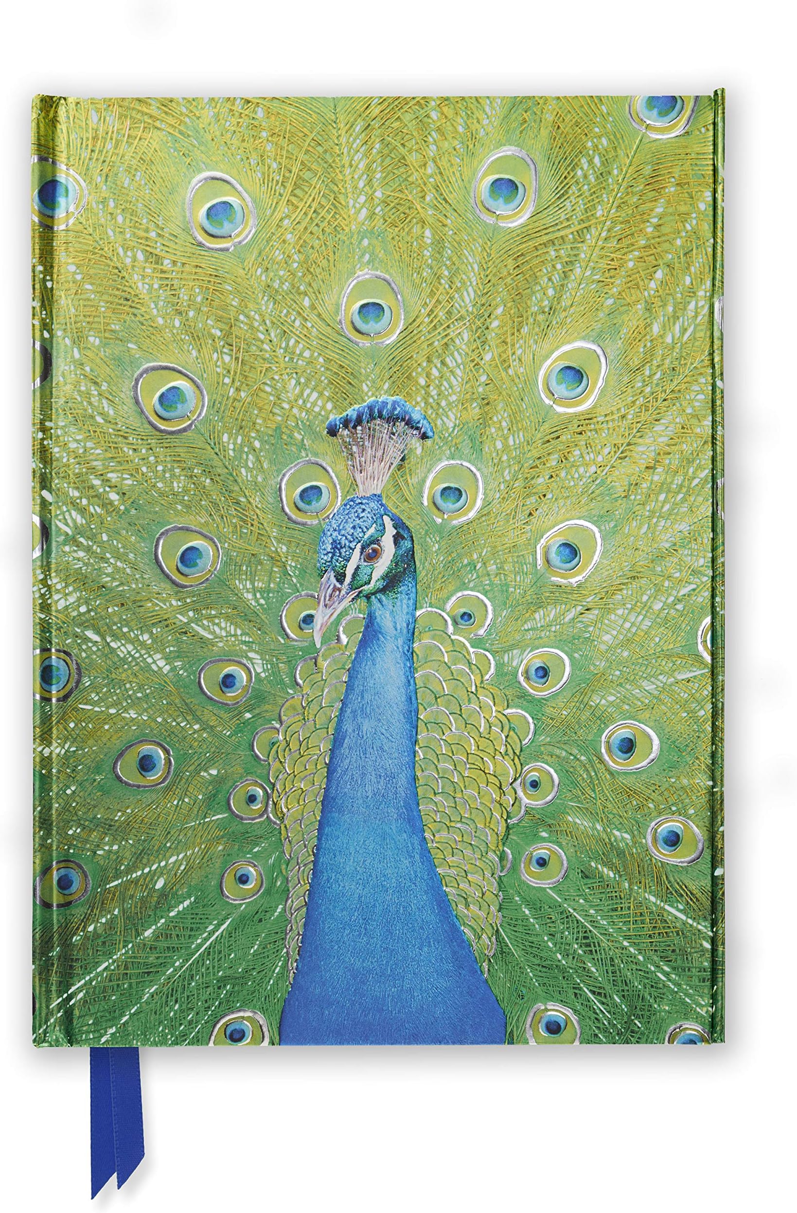 Peacock in Blue & Green (Foiled Journal) (Flame Tree Notebooks): 36