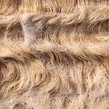 Pureology Strength Cure Conditioner for Damaged Colour-Treated Hair 250ml view 9