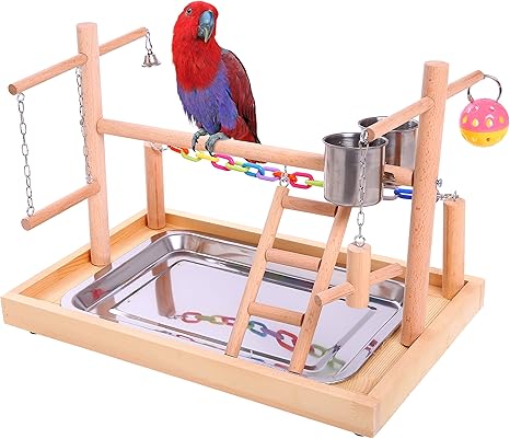 parakeet play gym