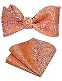 GUSLESON Mens Retro Paisley Self Tied Bow Tie for