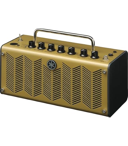 Amazon.com: Roland Mobile-AC Portable Battery Powered Acoustic