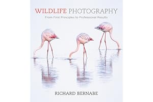 Wildlife Photography: An expert guide