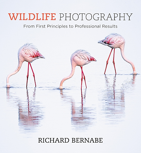 Download Wildlife Photography (English Edition) PDF