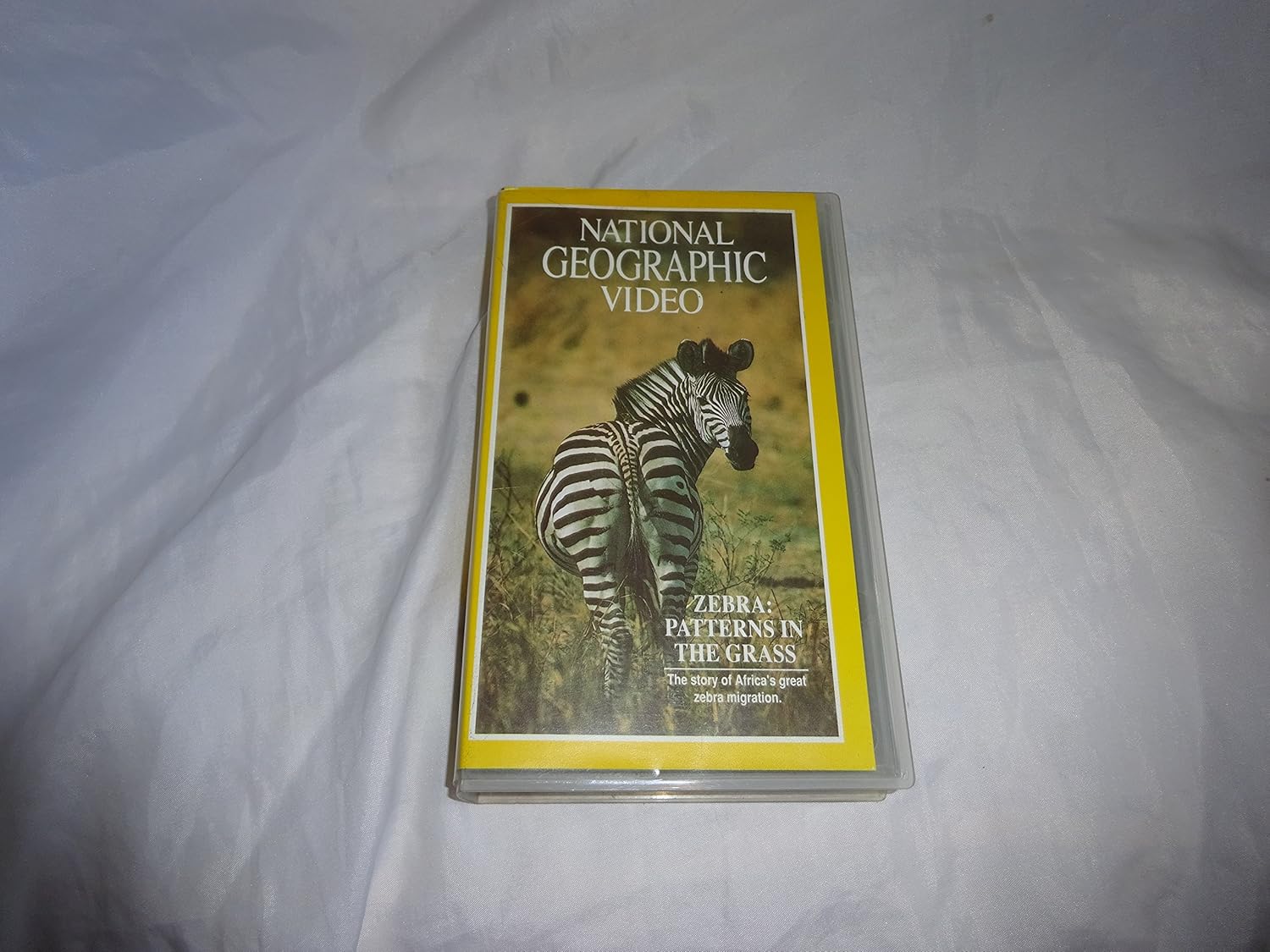zebra-patterns-in-the-grass-vhs-brian-dennehy-amazon-co-uk-dvd