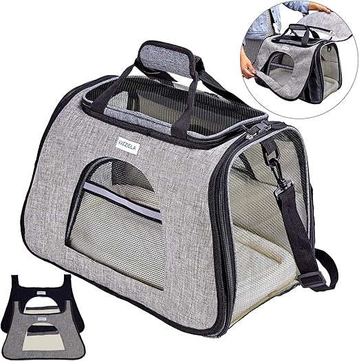 best airline approved carry on luggage