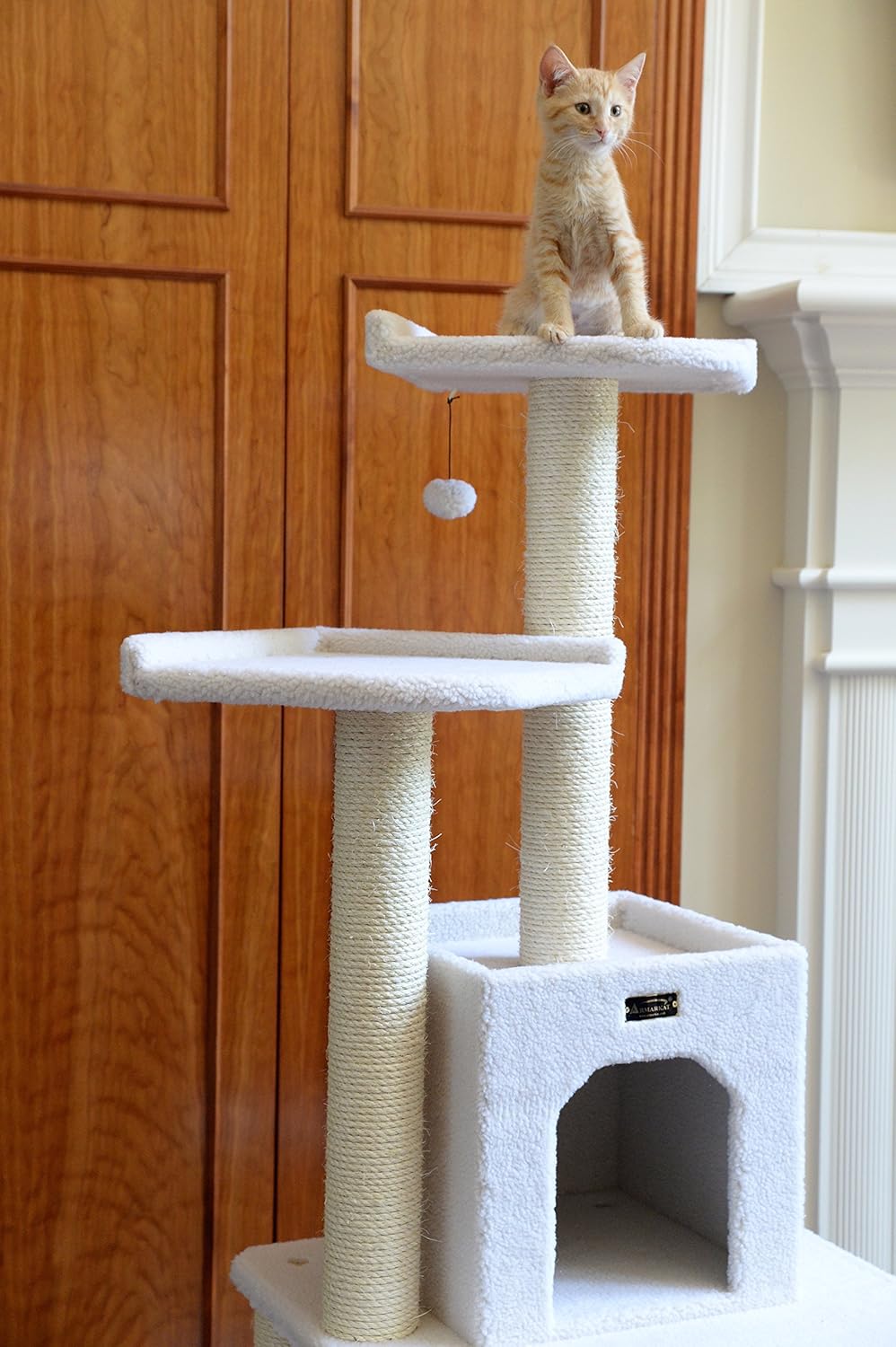 Armarkat 62-Inch Cat Tree, Model B6203, Ivory : Cat Tower : Pet Supplies