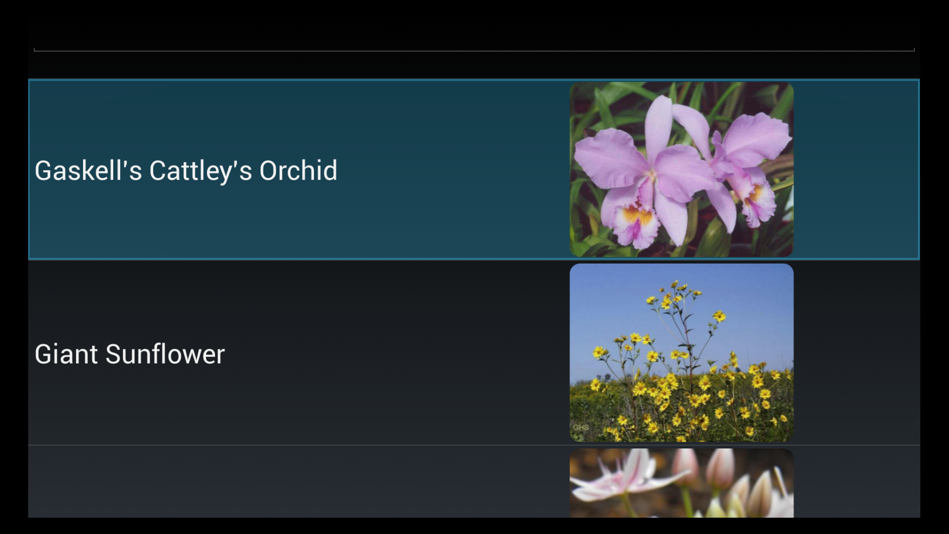 Flower Species Trivia for Android
