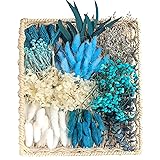 DIY Natural Dried Flower Set, Blue Bulk Dried