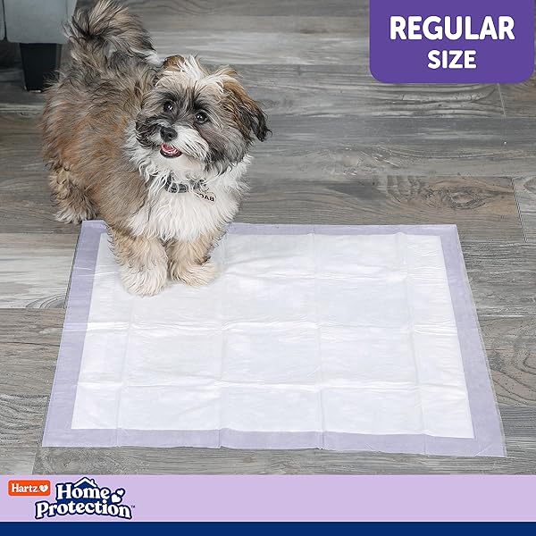 HARTZ HOME PROTECTION LAVENDER SCENTED DOG PADS, 50 COUNT, SUPER ABSORBENT & WON’T LEAK, ODOR ELIMINATING