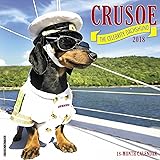 Crusoe the Celebrity Dachshund 2018 Wall Calendar (Dog Breed Calendar)