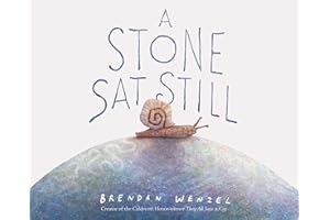 A Stone Sat Still: (Environmental and Nature Picture Book for Kids, Perspective Book for Preschool and Kindergarten, Award Winning Illustrator) (Brendan Wenzel)