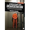 Addicted to Incarceration: Corrections Policy and the Politics of Misinformation in the United States