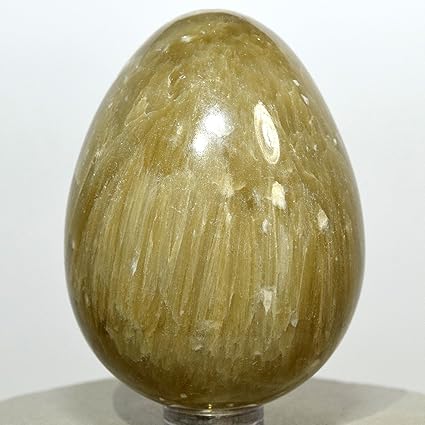 Hqrp 6 3 Cm Chrysoberyl œil De Chat Oeuf Naturel Vert Jaune Cristal Poli Cymophane Pierre Minerale Inde Support De Plastique Amazon Fr Cuisine Maison Hqrp 6 3 Cm Chrysoberyl œil De Chat Oeuf Naturel Vert Jaune Cristal Poli Cymophane Pierre Minerale Inde Support De Plastique Amazon Fr Cuisine Maison