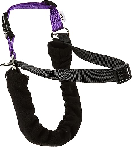 harness and lead set