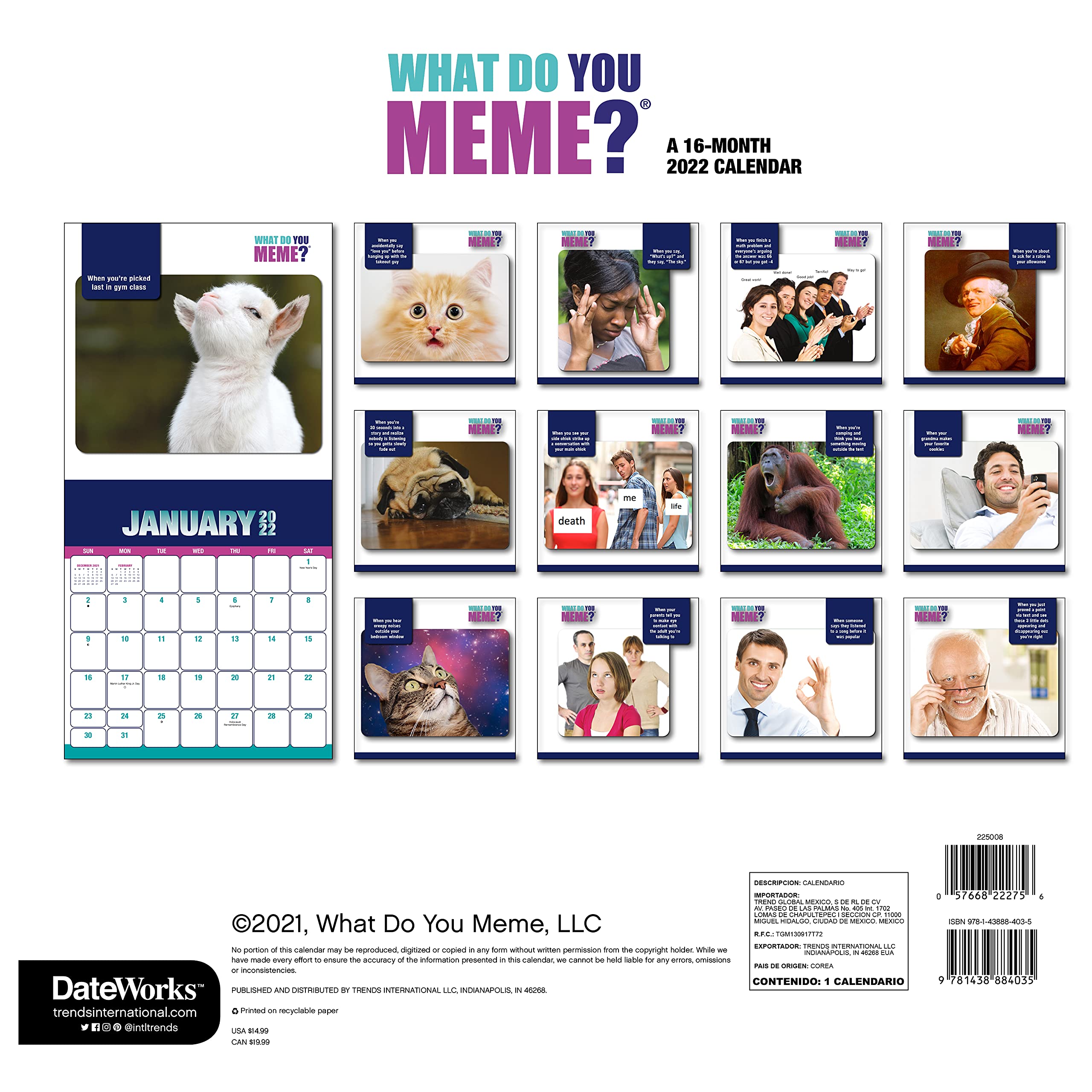 2022 What Do You Meme? Wall Calendar: Trends International: 9781438884035:  Amazon.com: Books