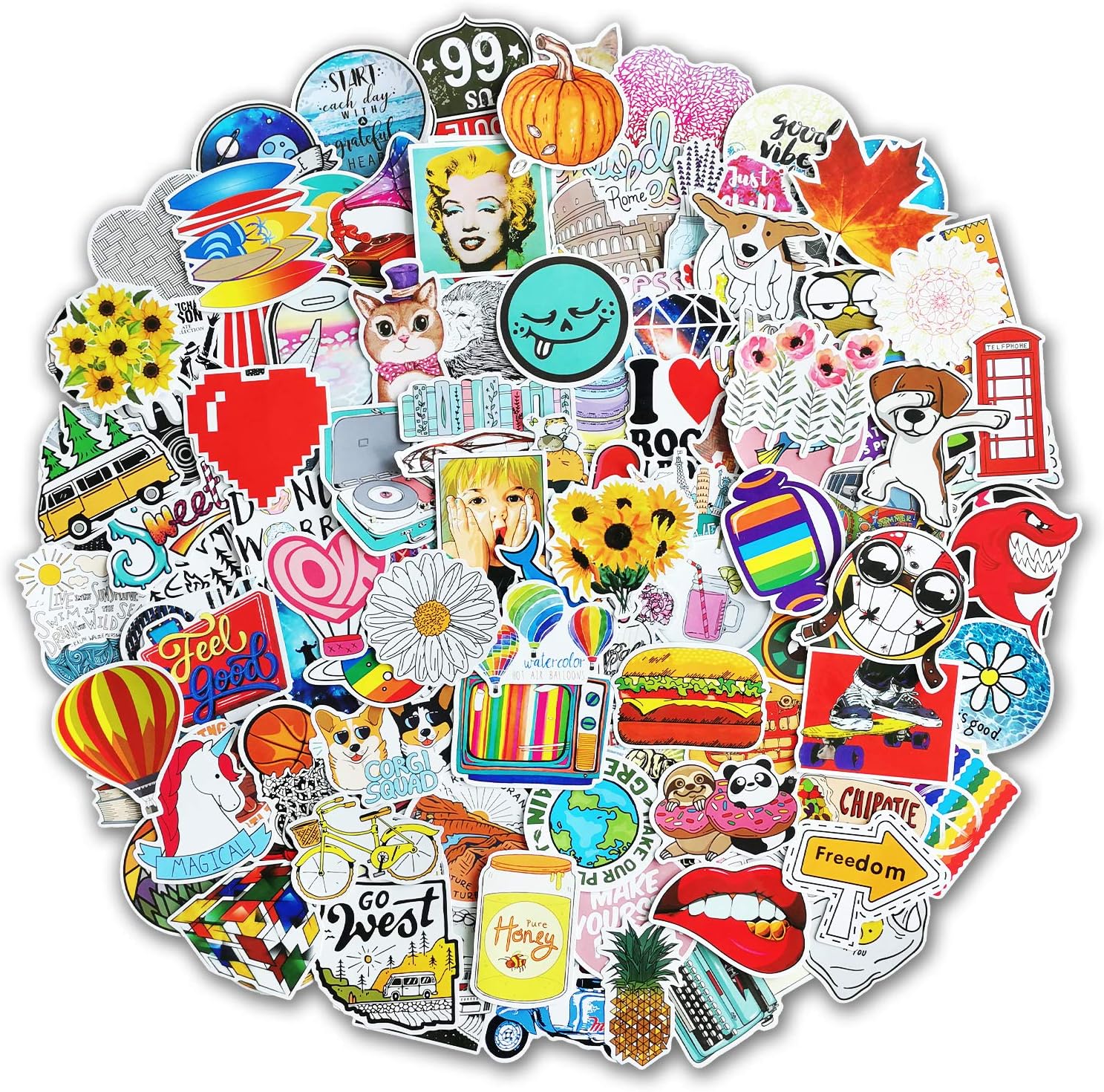200 Pcs Varieties Stickers Decals for Water Bottle, Vinyl Stickers Pack for Laptop, Phone Case, Skateboard, Car, Luggage, Bicycle, Helmets, Durable VSCO Sticker