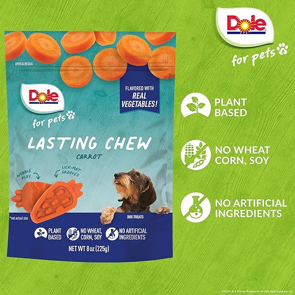 DOLE FOR PETS FRESHLY FETCHED LASTING CHEW, CARROT FLAVOR DOG TREATS, SMALL BREEDS, NO WHEAT, CORN, SOY, ARTIFICIAL FLAVORS, COLORS, OR ANIMAL PRODUCTS, 8 OUNCES, 10 CHEWS