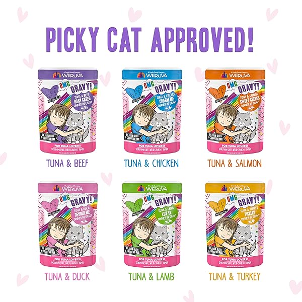 WERUVA B.F.F. OMG – BEST FELINE FRIEND OH MY GRAVY!, RAINBOW A GOGO VARIETY PACK! CAT FOOD, 3OZ POUCH (PACK OF 12)