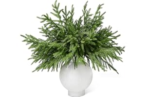 WeGuard 16 Pcs Real Touch Artificial Norfolk Pine Branches, 18 Inches Faux Norfolk Pine Stems Fake Christmas Greenery Picks for Vase DIY Garland Wreath Christmas Decorations Indoor Outdoor