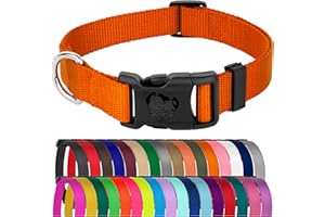 COUNTRY BROOK DESIGN Country Brook Petz - American-Made Dog Collar for Large, Medium, and Small Dogs and Puppies - Deluxe Heavy Duty Nylon in 33 Dazzling Colors (Large, 1 Inch Wide, Orange)