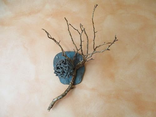 Treibholz Wand Lampe Led Holz Leuchte Holz Lampe Keramik Lampe