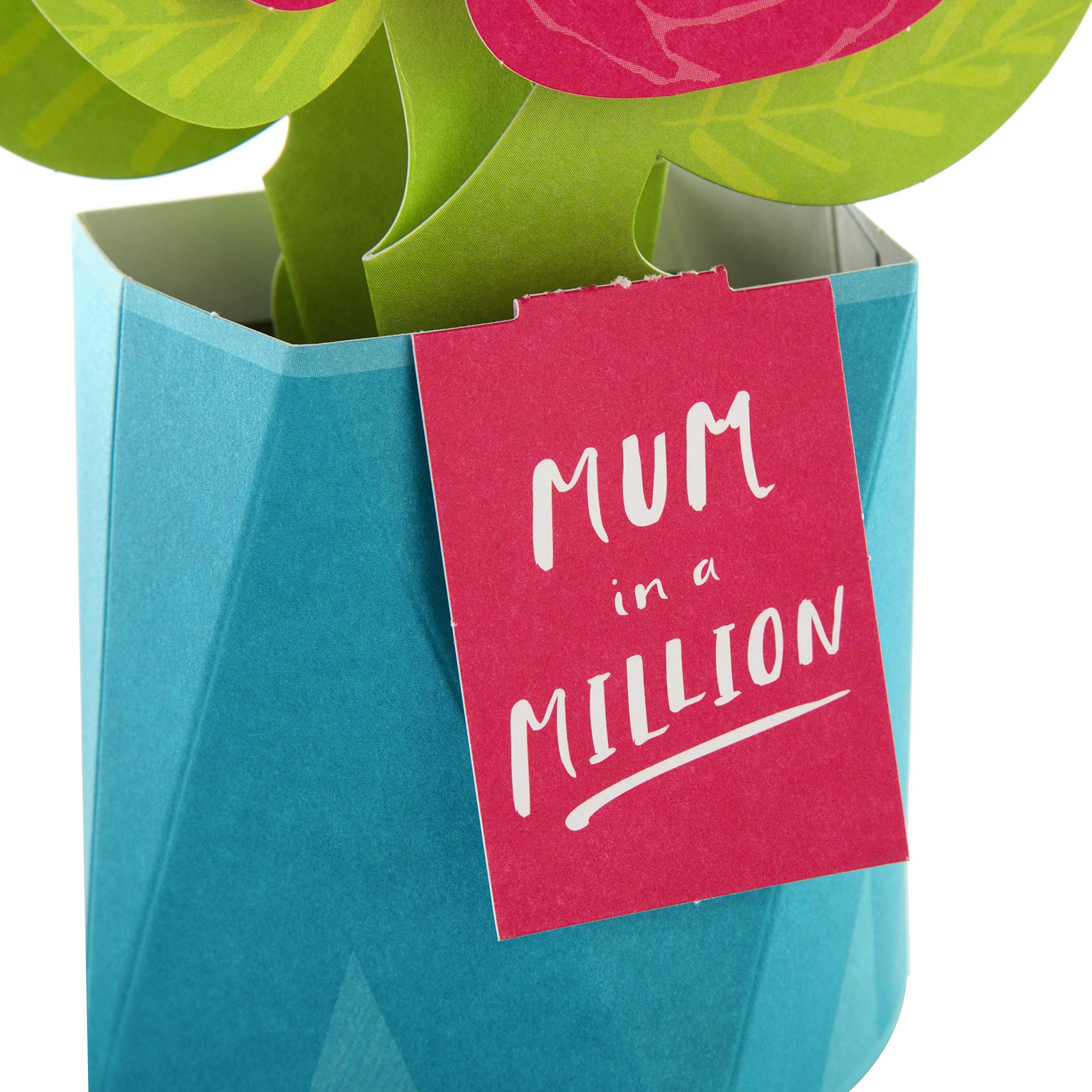 View 4