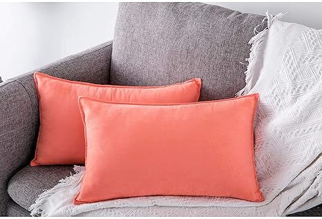 Buy Zealax 2 Pack Decorative Throw Pillow Covers Cases Comfortable