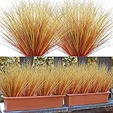 Betylifoy 20 PCS Artificial Fall Plants Outdoor Faux Fall Wheat Grass Greenery Stems UV Resistant Artificial Onion Grass Autumn Fake Shrubs Plant for Outdoor Indoor Window Home Decor