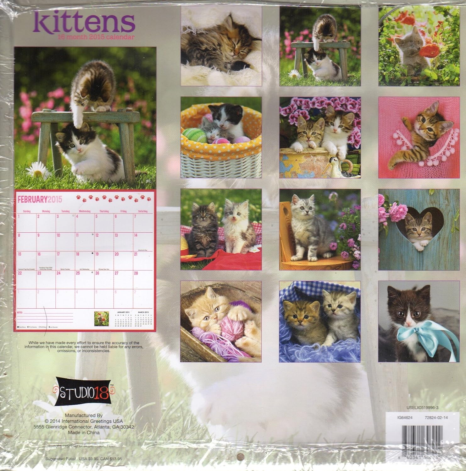 熱販売 Kittens 2015 16月カレンダー フリーボーナス2015磁気