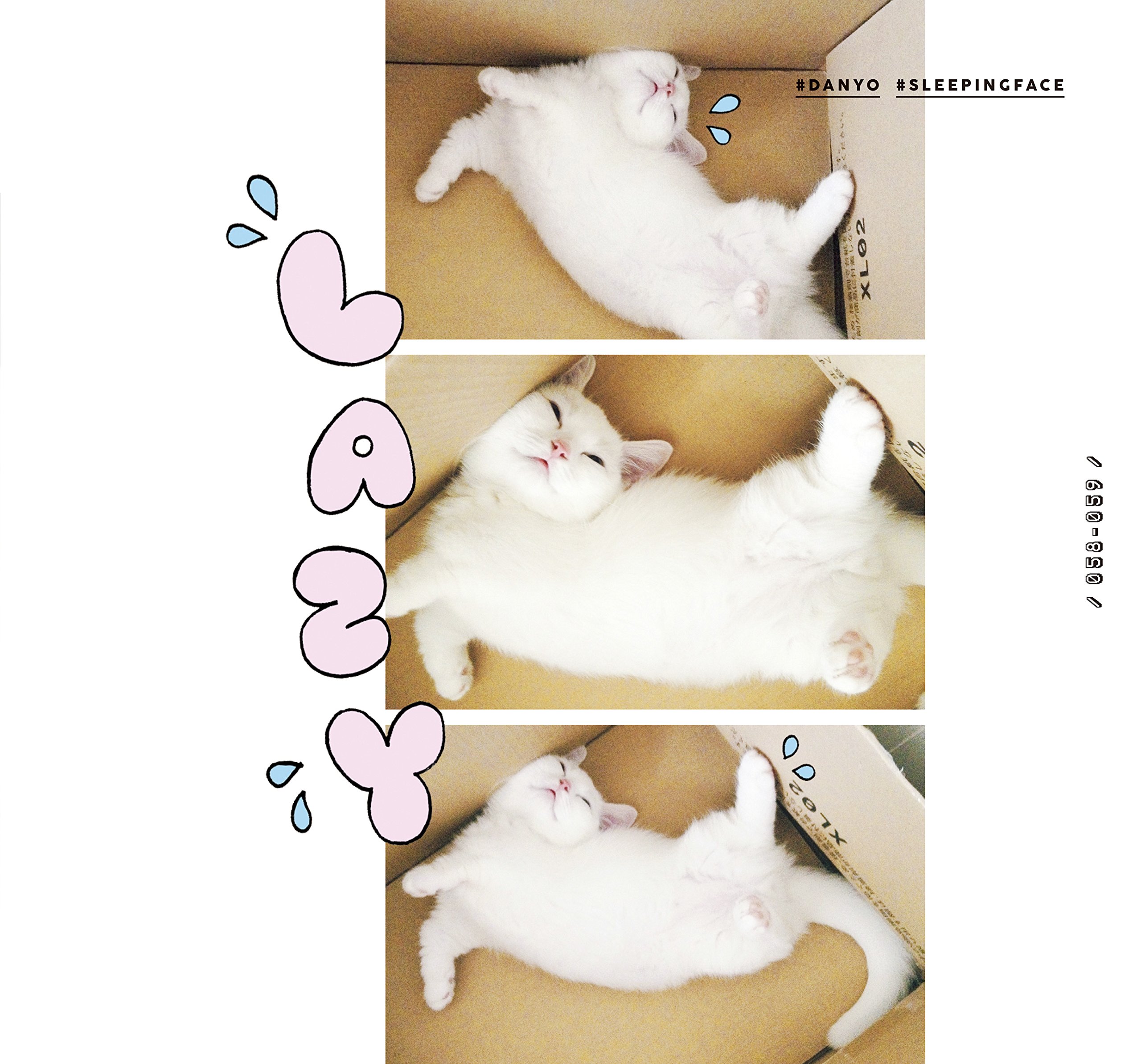 ダニョ カワイイ Danyo Cawaii 鈴木 えみ 本 通販 Amazon