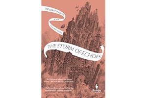 The Storm of Echoes: Book Four of the Mirror Visitor Quartet