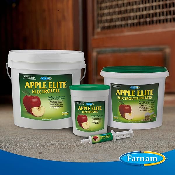 FARNAM APPLE ELITE ELECTROLYTE PASTE SUPPLEMENT FOR HORSES, REPLACES VITAL MINERALS, ENCOURAGES HYDRATION, NO ADDED SUGAR, 60 CC SYRINGE