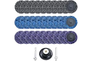 31 Pcs Diamond Sanding Discs Kit,2 Inch Quick Change Easy Strip Discs with 1/4 Inch Holder for Die Grinder & Drill Surface Pr