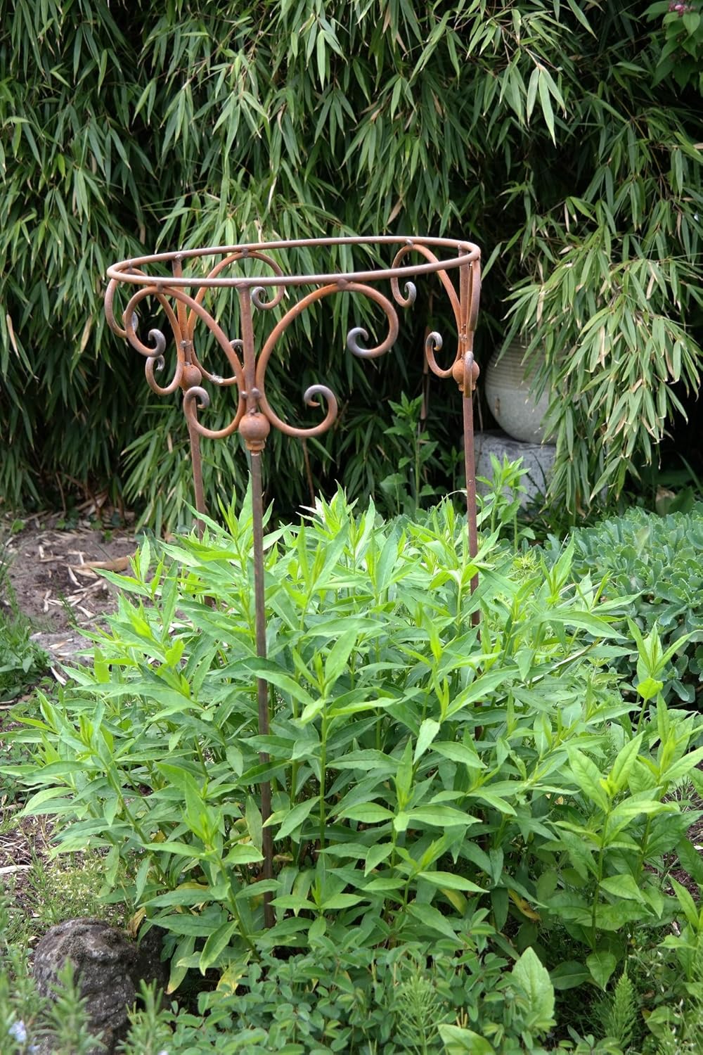 Staude plana matorrales plana Staude Conector redondo pérgola ...